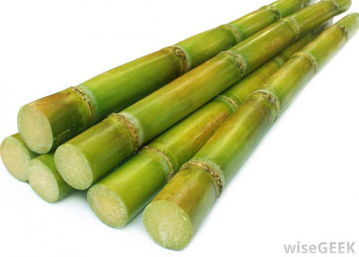 stack-of-sugar-cane