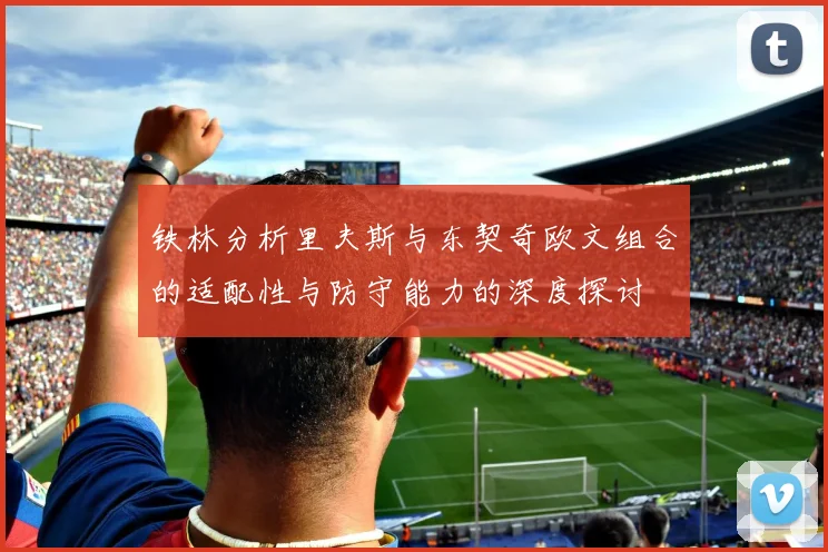 铁林分析里夫斯与东契奇欧文组合的适配性与防守能力的深度探讨